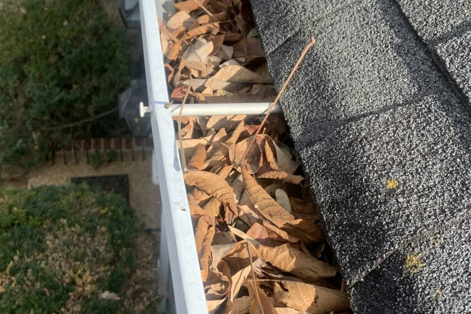 Gutter Cleaning Clinton AR