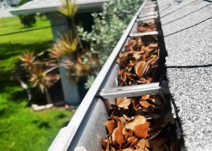 Gutter Cleaning Clinton AR home page